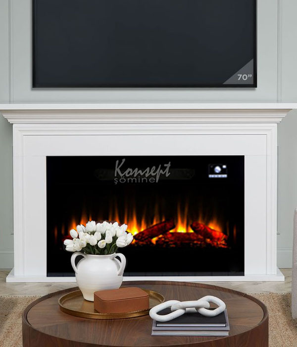 Plasma electric fireplace 73